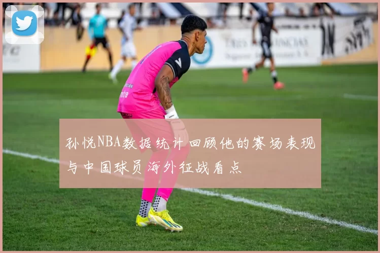 孙悦NBA数据统计回顾他的赛场表现与中国球员海外征战看点