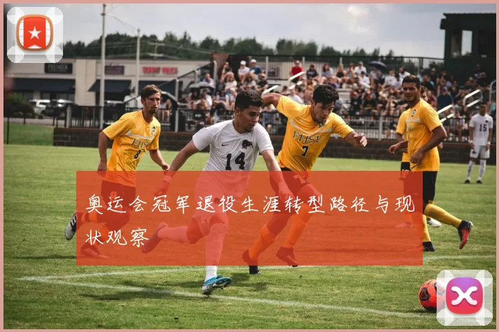 奥运会冠军退役生涯转型路径与现状观察