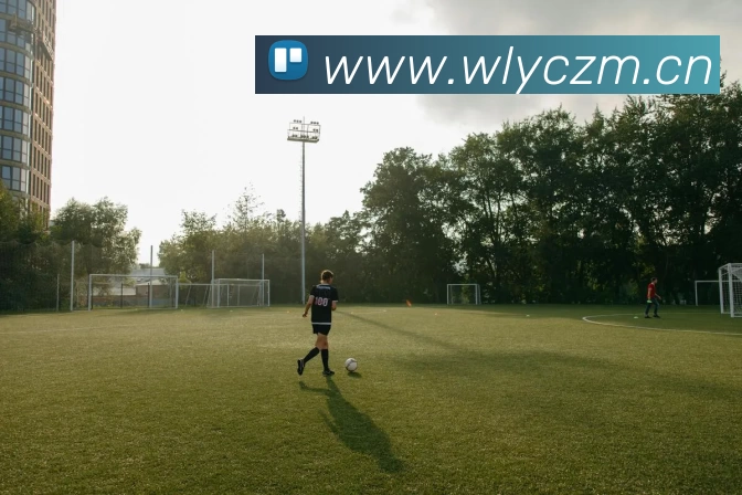 九游网页版·官方端入口 - 九游(中国)发展历程